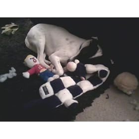 Multipet Plush Dog Toy