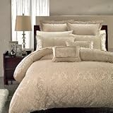 Full/queen 7 pc Sara Duvet Cover Set 41jSK6RzS3L. SL160 Full/queen 7 pc Sara Duvet Cover Set