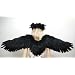 Black Wide Spread Costume Feather Angel Wings Gothic Fairy Crow Raven Eagle Cosplay Photo Props .
