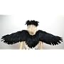 Black Feather Angel Wings & Halo Gothic Fairy Photo Props Teens & Adults Costume.