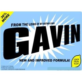 tote gavin