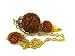 Rudraksha Seed and Golden Fresh Water Pearl Pendulum, Metaphysical Dowsing Tool
