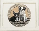 Chihuahua Ambiance Keepsake Box