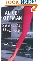 Seventh Heaven (Virago Modern Classics)