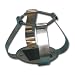 Scientific Industries SI-1615 Stainless Steel Flask Clamp, 5 Platform Capacity, For 2 Liter Flask