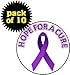 (Quantity 10) Hope for a Cure - Pancreatic Cancer Awareness Purple Ribbon 1.25
