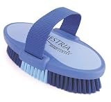 Desert Equestrian Es Oval Body Brush Large Blue