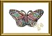 Beau Nouveau BNBTBTRFLYPE0.5 Butterfly Barrette - Pink Enamel - 0.5 Inch