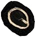 Small Stretchable Headphone Covers - Black - Bag of 100 - fits most standard-size headphones and headsets