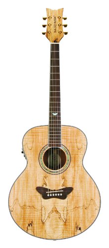 Daisy Rock Butterfly Jumbo Acoustic Electric Guitar Spalted Maple Butterfly