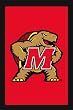 University of Maryland Terrapins Flag - Regular Size