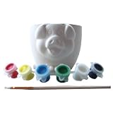 Paint Your Own Animal Plant Pot - Pig