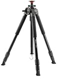 Vanguard Auctus