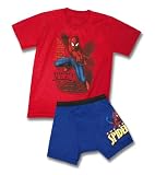 Fruit of the Loom Boys 2-7 Fruit Of The Loom Boys Spiderman Underoos Prints