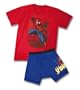 Fruit of the Loom Boys 2-7 Spiderman Underoos Prints