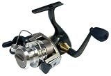Quantum Snapshot LS Spin Reel