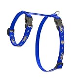 Lupine 1/2 Inch H Style Harness- 9- 14- Noble Beast Pattern