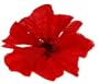 Karin's Garden, Silk Poppy Pin & Salon Clip, AS SEEN ON The HBO Series "SEX AND THE CITY": Click to See Other Colors: Approx 10"