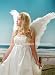 FashionWings (TM) White Feather Angel Costume Wings Tinkerbell Butterfly Fairy Cosplay Props.