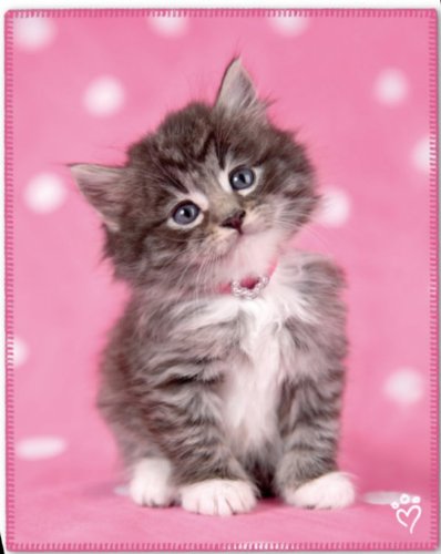 Kitty on Pink Panel Fleece Throw Blanket with Finished Edges