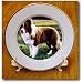 Dogs Border Collie - Border Collie Tan and White - Plates