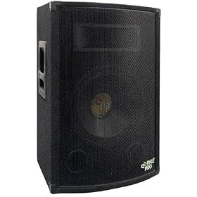 Pyle-Pro PADH879 300 Watt 8'' Two-Way Speaker Cabinet: Musical Instruments