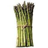 Pack of 20 Asparagus Roots - Variety 