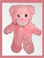 Teenie Teddies Two-Tone Love Bear 7" - Make Your Own Stuffed Animal Kit