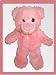 Teenie Teddies Two-Tone Love Bear 7" - Make Your Own Stuffed Animal Kit