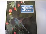 Pollinating a flower