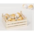 Goki 51882 - Champignons in Gem�sekiste