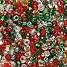 Czech Seed Beads 6/0 Mix Deck The Halls Christmas (1 Ounce)