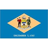 Delaware Flag 2ft x 3ft Nylon