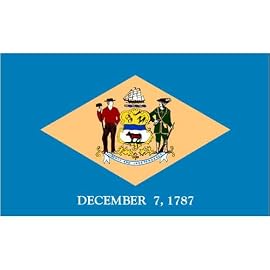 Delaware Flag 3x5ft Superknit Polyester
