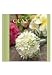 Clay Art for All Seasons: A Guide to Soft Clay Art