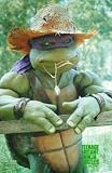Teenage Mutant Ninja Turtles Donatello 11x17 Poster