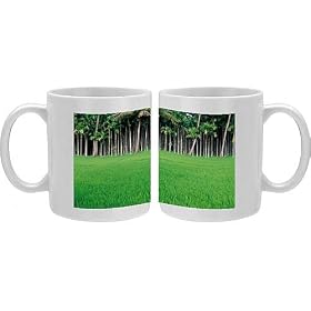 Photo Mugs of Rice field with betel nut trees in background from Lonely Planet Images