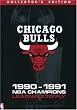 Chicago Bulls 1991 NBA Champions - Learning to Fly