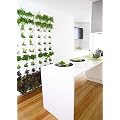 Patio / Balcony Mini Garden in a Set of 3 (64 x 14 x 57cm; White)
