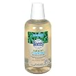 Tom's of Maine  Fluoride Mouthwash, Natural Anticavity, Peppermint, 1 pt (473 ml) (Pack of 3)
