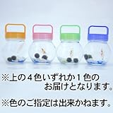 養殖まりもクリオネ