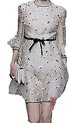 Dots Print Vintage Organza Empire   Waistline  Dress