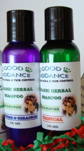 Herbal Flea & Tick Control Shampoo for Dogs, 8 Fl. Ozs.