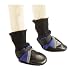 Dog Boots - Guardian Gear Pet Boots - Blue - X-Small (XS)