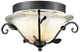 Derbyshire Collection 17 Wide Ceiling Light Fixture