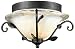 Derbyshire Collection 17 Wide Ceiling Light Fixture