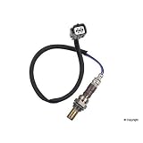 Bosch 13071 Oxygen Sensor, OE Type Fitment by Bosch