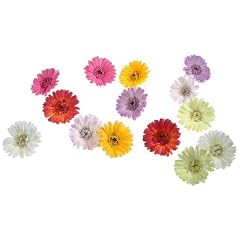 Deko-Woerner Gerbera-Bl�ten 5cm� 14St