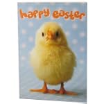 PaperchaseEaster