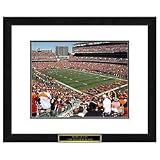 Cincinnati Bengals NFL Framed Double Matted Stadium Print